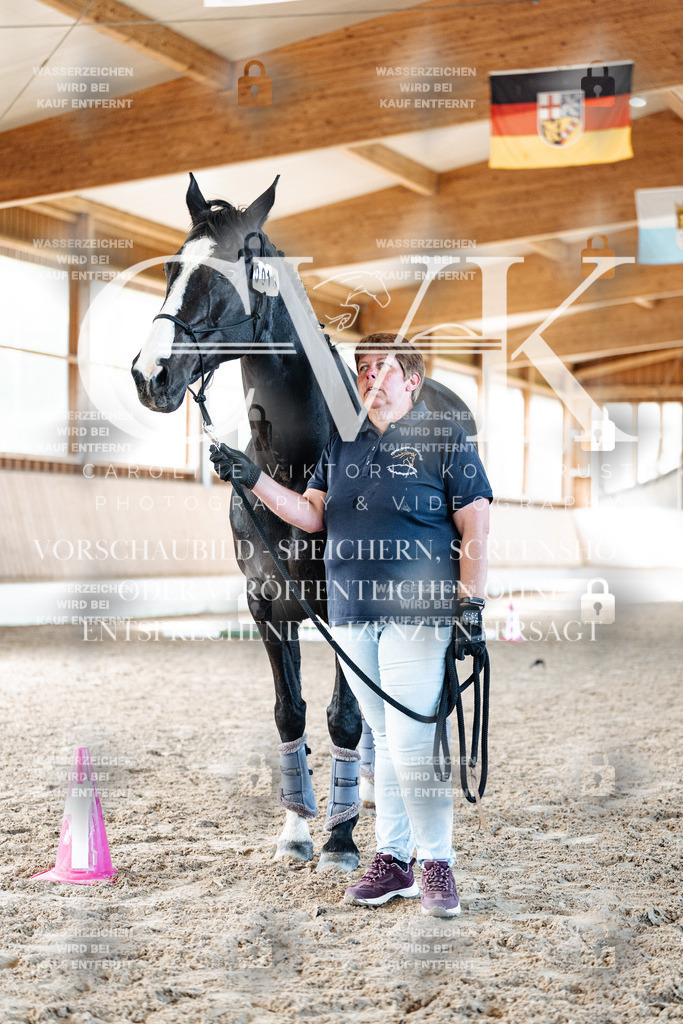 CK906280 | Turnierfotografie Pferdefotografie Trier Rheinland-Pfalz Pferdesport Reitsport Tierfotografie Sportfotografie Pferdevideo Pferdevideografie Equestrianvideography equestrianphotography  - Realisiert mit Pictrs.com