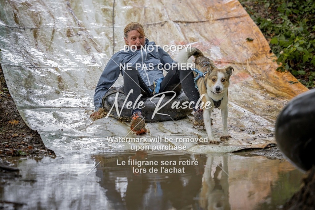 nelerasche_Hunsrück_Sa1430-1500_260-final | nelerasche