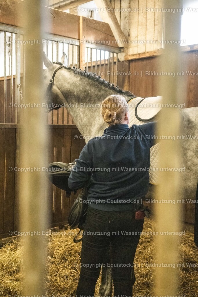 20240302_Hengstvorstellung_Marbach_TOMsPiC_0034 | equistock