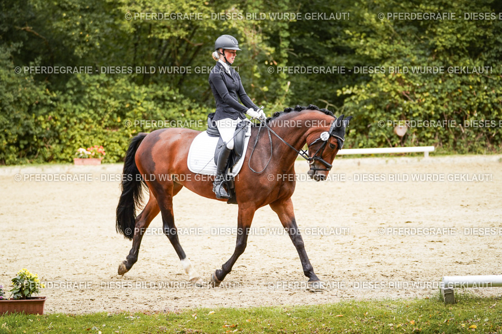 DSC00515 | Pferdegrafie