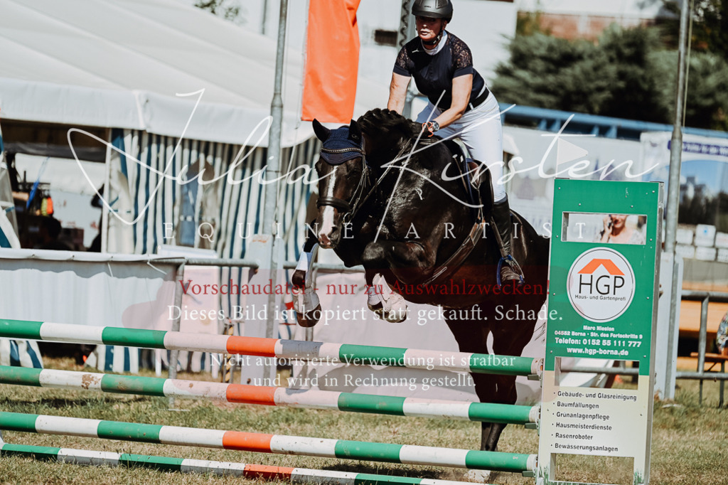DSC_9872 | Pferde- und Turnierfotografie in Westsachsen. Pferdeportraits, Auftragszeichnungen und intuitive Kunst.