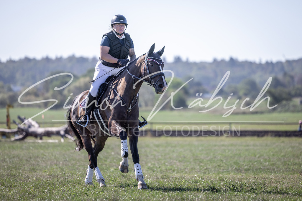 20260906-_3LI2203 | Tierfotografie Pferde, Hunde, Katzen, Haustiere.
Turnierfotografie Reitturniere, Reiten, Springreiten, Dressur in Hanau, dem Main-Kinzig-Kreis und dem Rhein-Main- Gebiet um Frankfurt