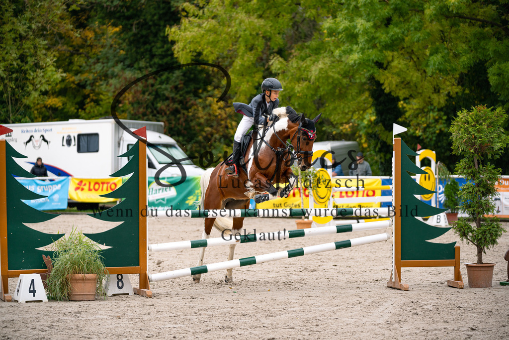 A7V09366 | Pferdefotograf