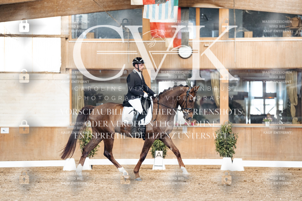 CK901652 | Turnierfotografie Pferdefotografie Trier Rheinland-Pfalz Pferdesport Reitsport Tierfotografie Sportfotografie Pferdevideo Pferdevideografie Equestrianvideography equestrianphotography  - Realisiert mit Pictrs.com