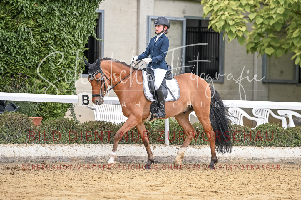 Schugtsche-Aluta25-43.EDressur -219 | Schugtsche Fotografie - Realisiert mit Pictrs.com