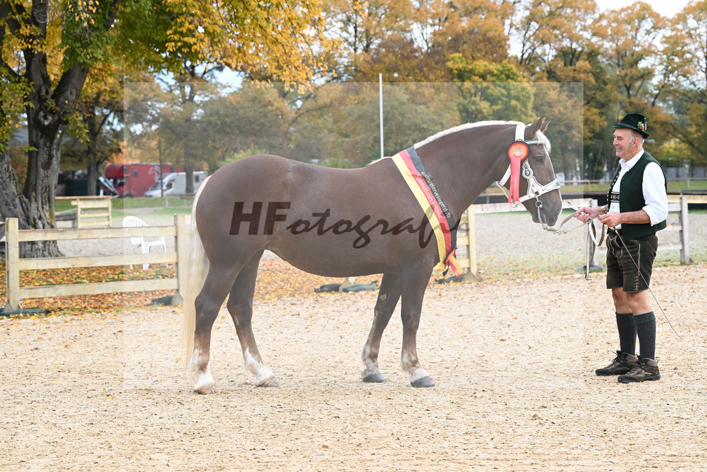 Kat-Nr. 56 Monamour_Buechl_53223012 | hf-fotografie - Realizzato con Pictrs.com