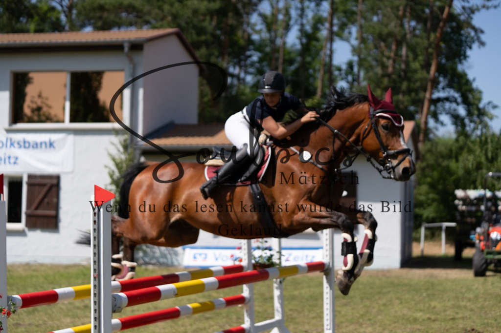 A7V06387 | Pferdefotograf