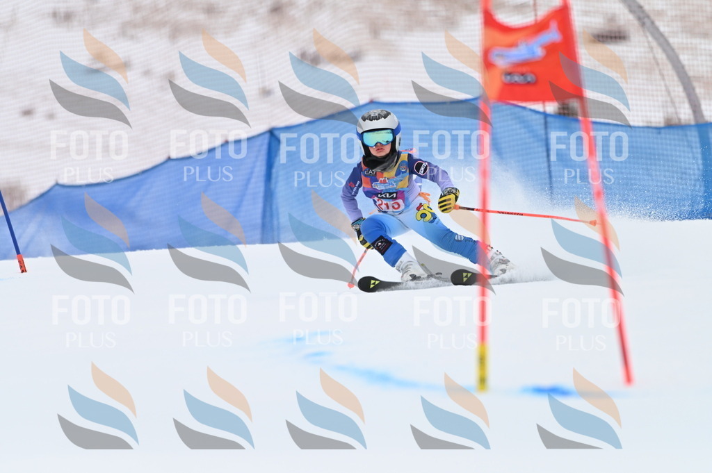 BGV_2600 | holidayphoto