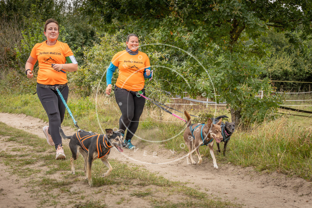 Pfotenfotografie_DV3A7925 | Hundefotografie, Tierfotograf, Pfotenfotografie, Fotoshooting Hund, Hunde Portrait, Hundesport, Hundeportraits, Heideshooting, Hunde, Sportfotograf, Hundefotograf, Turnierhundsport, THS,  - Realisiert mit Pictrs.com