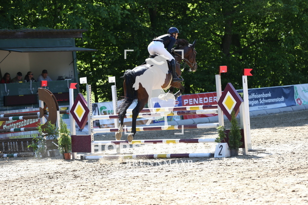 DL2Q2338 | Willkommen bei Brunnmayr - Design & Fotografie – Ihrem Spezialisten für Reitturniere und Pferdeveranstaltungen in Oberösterreich, Salzburg und Bayern! Seit über 17 Jahren sind wir leidenschaftlich dabei.