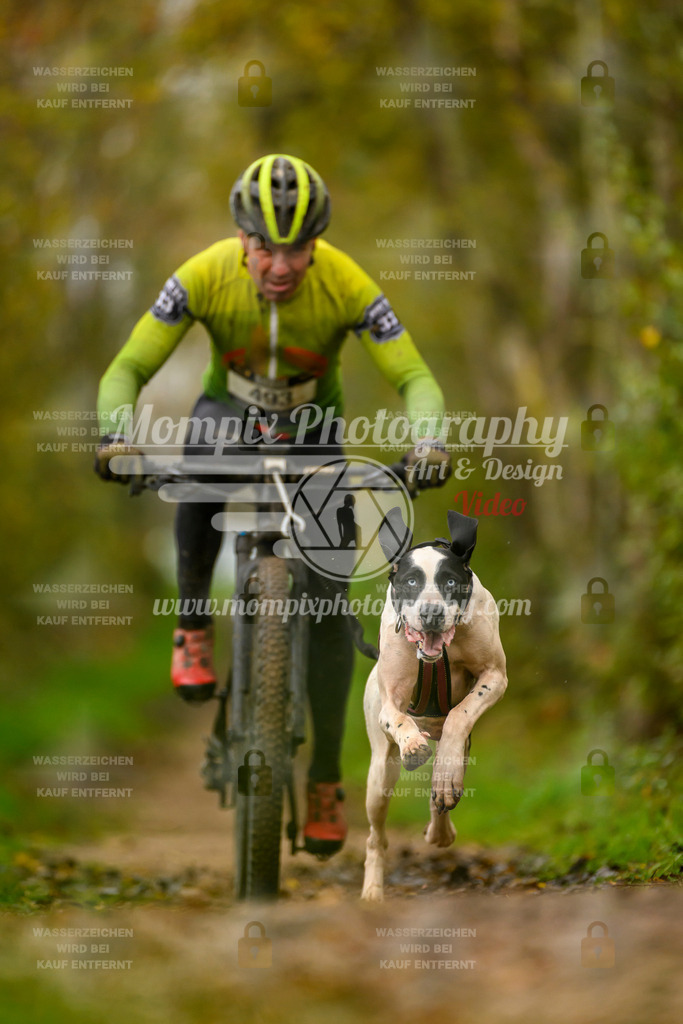 MompixPhotography_20TSB_E6_Bike-15 | PayLife