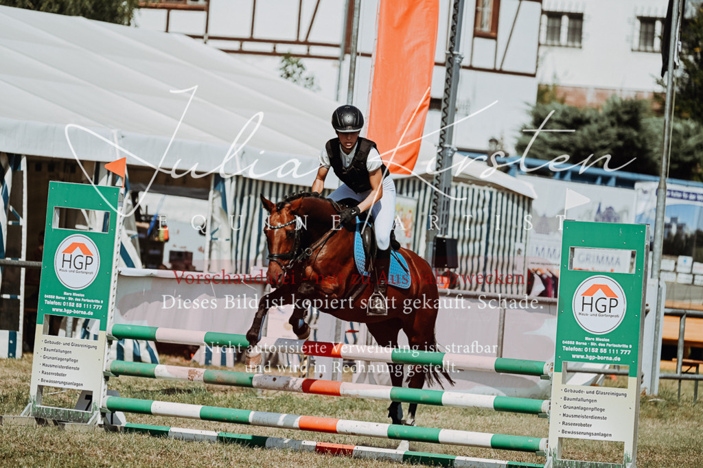 DSC_9974 | Pferde- und Turnierfotografie in Westsachsen. Pferdeportraits, Auftragszeichnungen und intuitive Kunst.