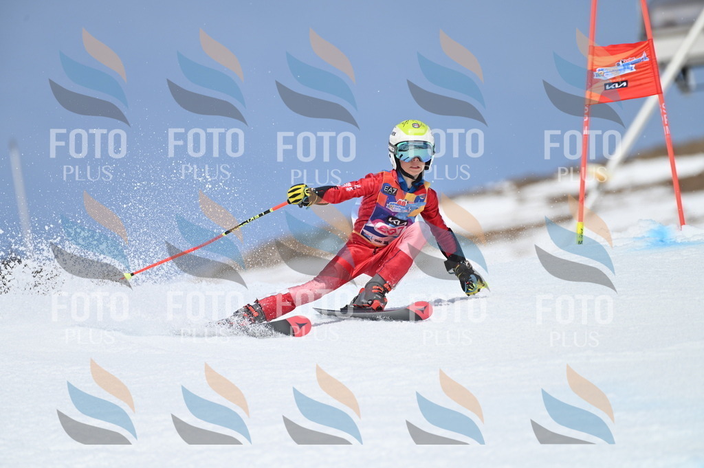 BGV_2721 | holidayphoto