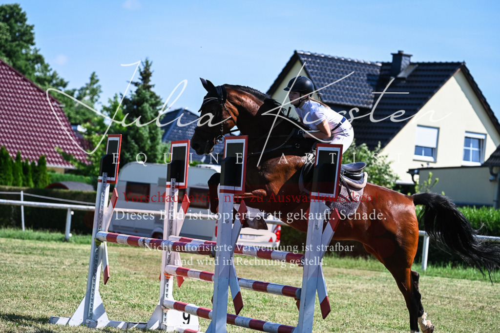 DSC_1744 | Pferde- und Turnierfotografie in Westsachsen. Pferdeportraits, Auftragszeichnungen und intuitive Kunst.