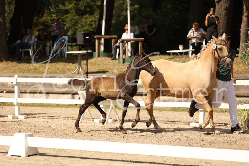 08.DoRPS00045 | Leoni Ertmer Photography - Realisiert mit Pictrs.com