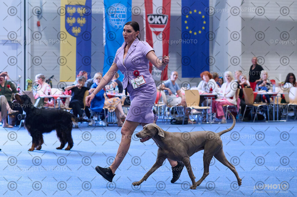 202406_ÖKV-IHA-Tulln24_DSC_4114 | proPHOTO - Realisiert mit Pictrs.com