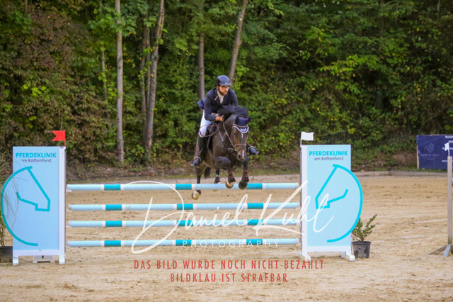 IMG_6235 | Turniersportfotografie; Pferdefotografie; Dressurfotografie