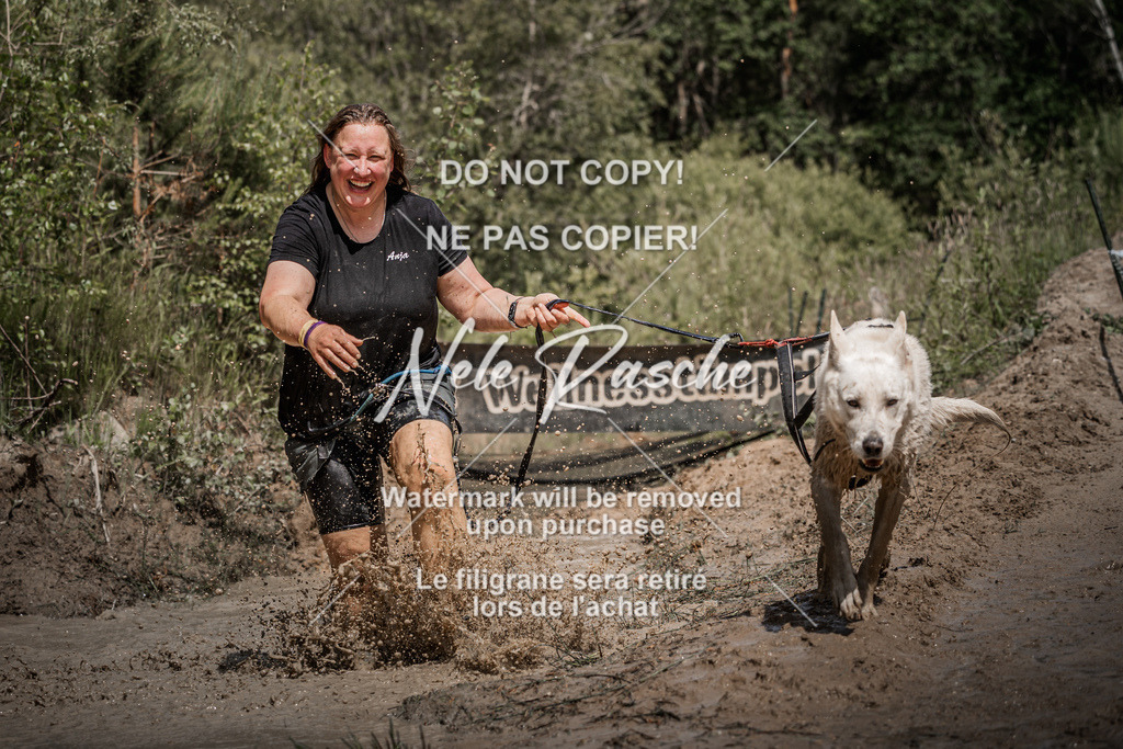nelerasche_Hoope2026_Sa1200-1230_336 | nelerasche
