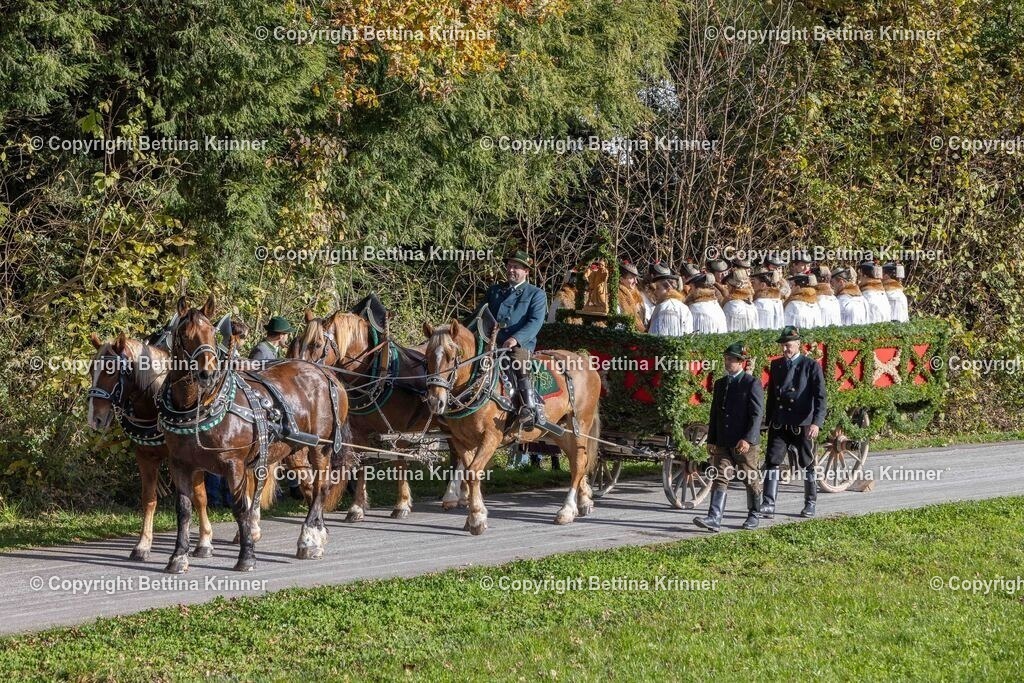 LBT24-248 | foto-bettina-krinner - Realisiert mit Pictrs.com