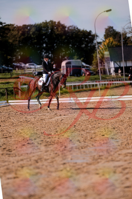 2026_10_03_Siefer-Hof_125734_Z81_46056746 | Professionelle Reitsport-, Turnier- und Eventfotografie von Robert Broda. Galerien mit ausgewählten und bearbeiteten Bildern direkt online ansehen und bestellen.