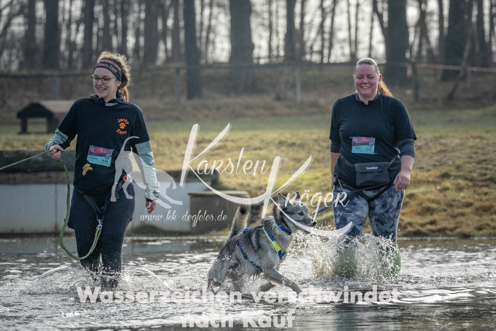 1000_ZZ95265 | kk-dogfotos