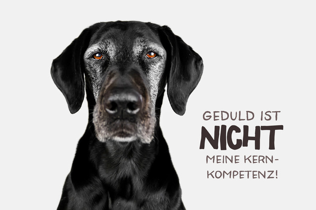 Emmys Kernkompetenz | "Geduld ist nicht meine Kernkompetenz"