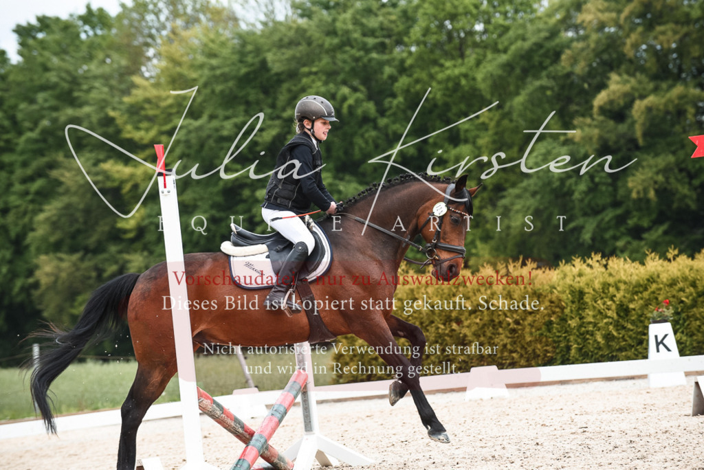 20230518_JK-Röhrsdorf-10-709 | Pferde- und Turnierfotografie in Westsachsen. Pferdeportraits, Auftragszeichnungen und intuitive Kunst.