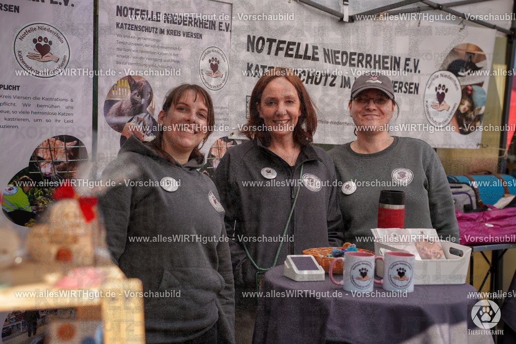 Pfötchenmarkt Nettetal-Lobberich 2026 - Nettetal-Tag - Daniel Wirth - www.allesWIRTHgut.de - @allesWIRTHgut_Tierfotografie 7R507764 | Professionelle Tierfotografie in Mönchengladbach von Daniel Wirth (allesWIRTHgut). Liebevolle & natürliche Bilder von Hunden & Katzen für unvergessliche Erinnerungen.