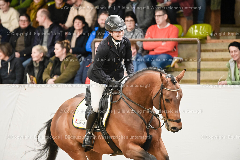 20260307_Hengstvorstellung-Marbach_0028 | equistock
