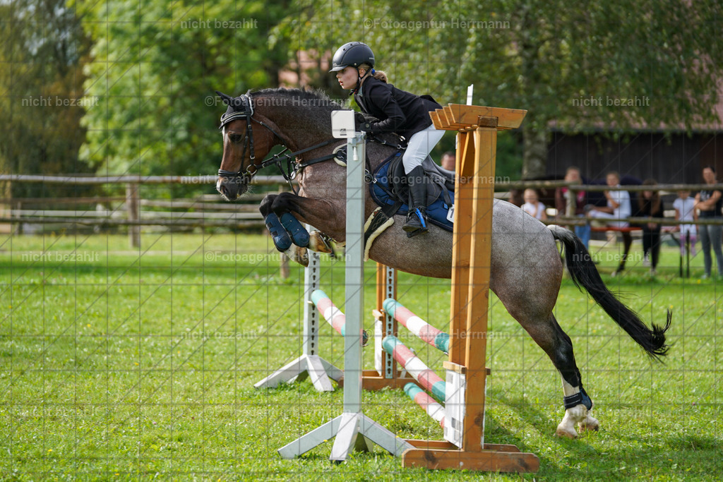 20230917-FAH09199 | Landsberg am Lech, 2023, Kaufbeuren, Kempten, Allgäu, Turnierfotografen Bayern, Fotoagentur Herrmann, Turnierbilder, Reitsport Fotos, Pferdefotograf, Augsburg, Bad Tölz, Dachau, Karlsfeld, Memmingen, Buchloe, Schwabmünchen