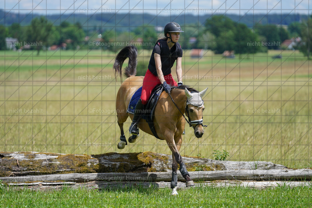 20240622-FAH07300 | Turnierfotografen Bayern, Reitsportbilder aus dem Geländekurs mit Felix Etzel auf dem Gut Waitzacker 2024