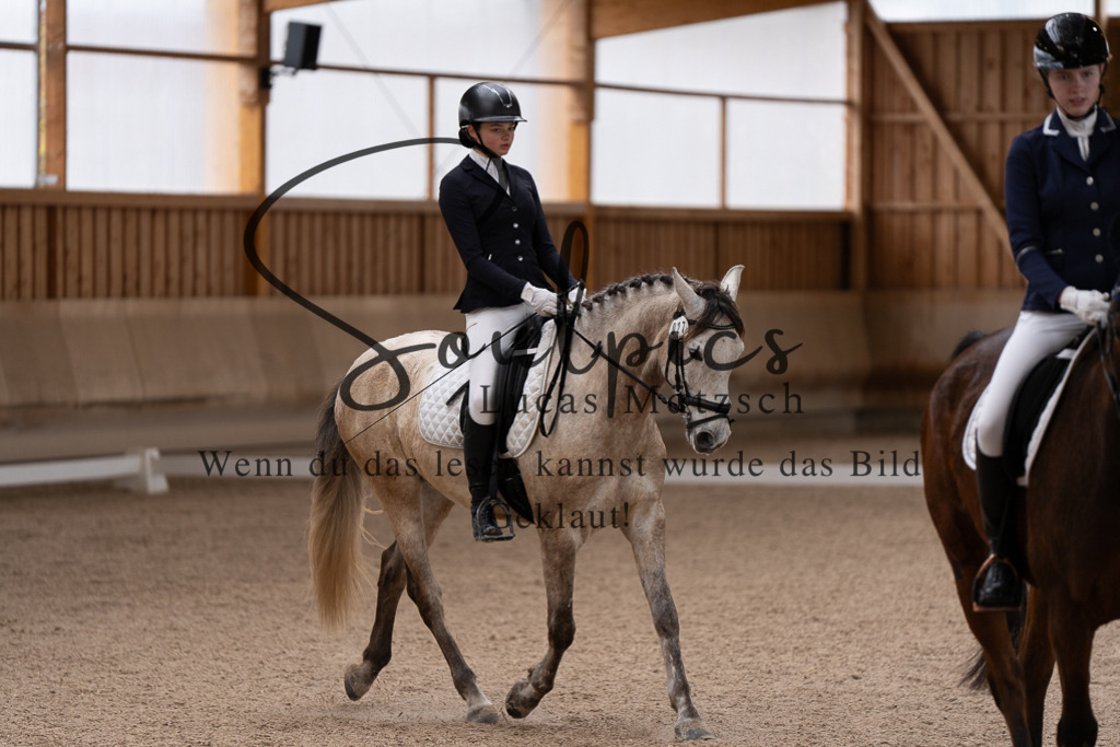 A7507183 | Pferdefotograf