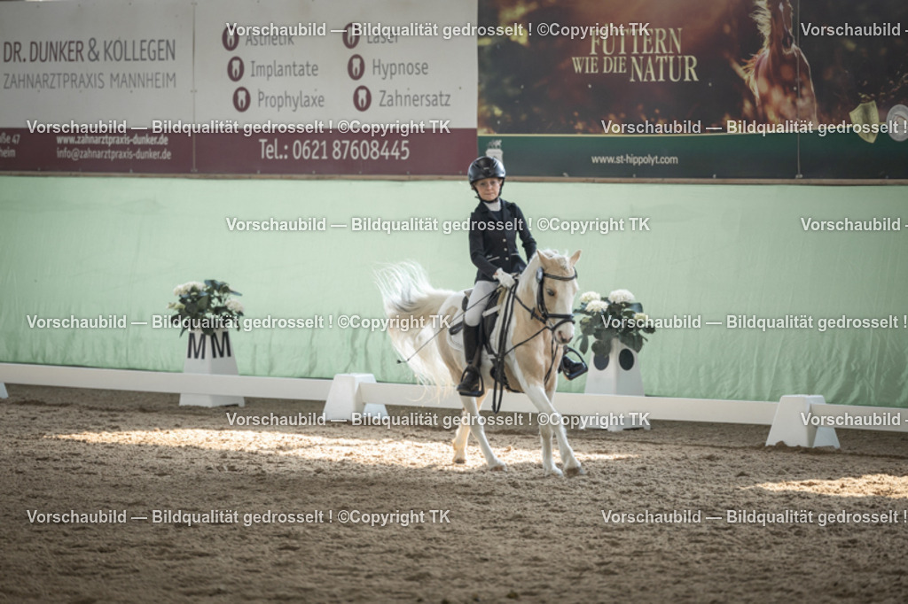 _D5A5674 | Emotionale Pferde- & People-Fotografie rund um Heidelberg, Leimen & Umgebung. Natürliche Fotos von Pferd, Mensch & Familie. Jetzt Termin sichern!