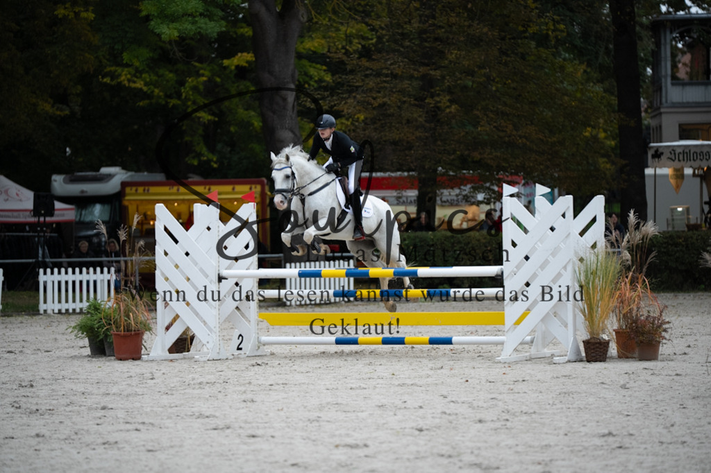 A7V08563 | Turnier/Reitfotograf