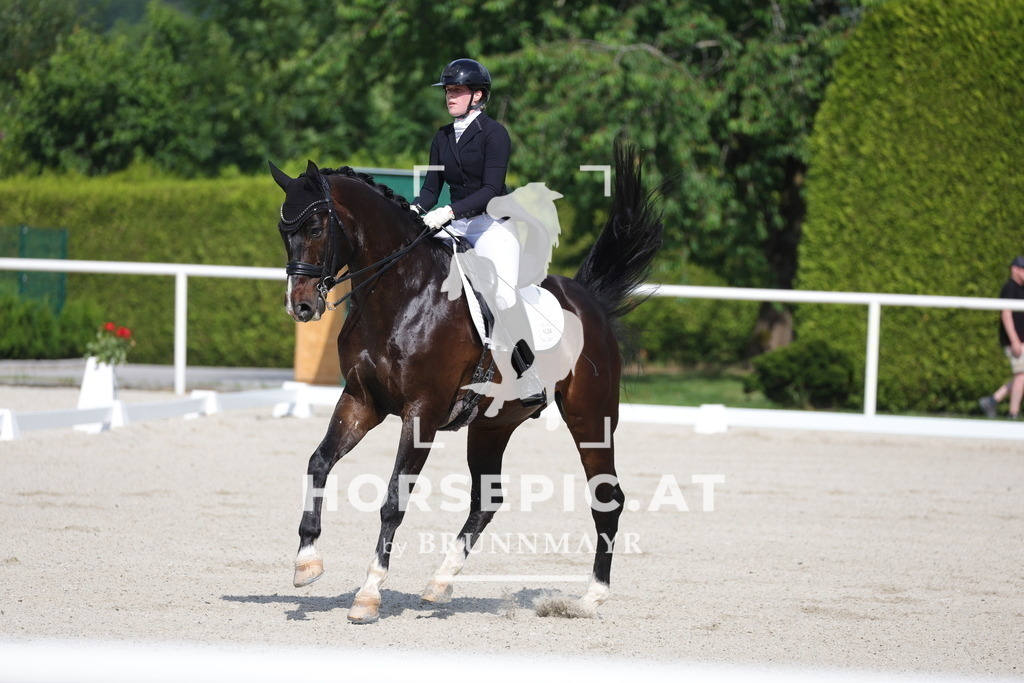 0P6A6733 | Willkommen bei Brunnmayr - Design & Fotografie – Ihrem Spezialisten für Reitturniere und Pferdeveranstaltungen in Oberösterreich, Salzburg und Bayern! Seit über 17 Jahren sind wir leidenschaftlich dabei.