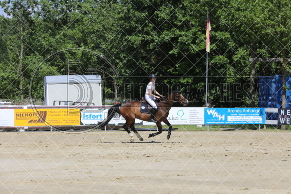 IMG_5152 | photographesa-joergens - Realisiert mit Pictrs.com
