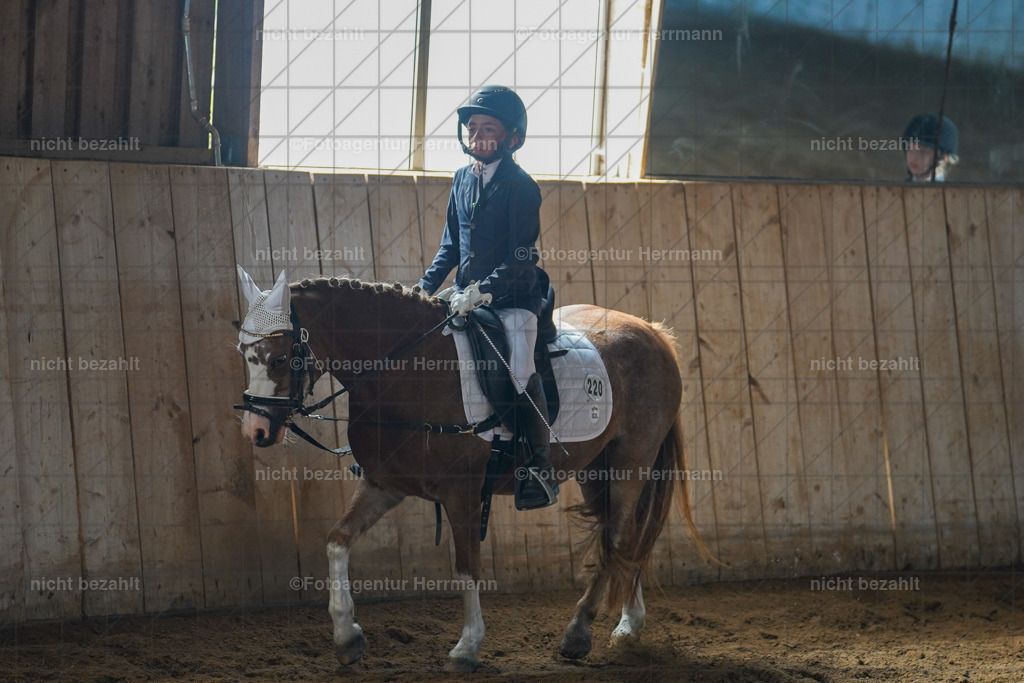 20230916-FAH08581 | Landsberg am Lech 2023, Turnierbildern, Turnierbilder Bayern, Reitsportfotograf, Pferdefotograf Bayern, Turnierfotos Landsberg, Fotoagentur Herrmann, Turnierfotografen Bayern