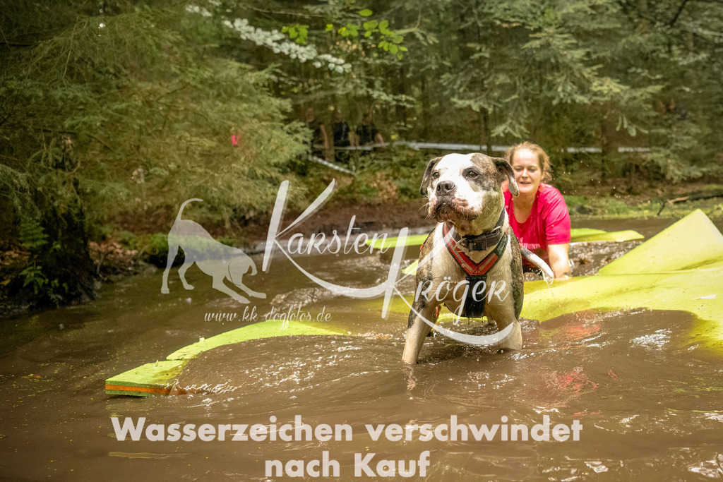 1426_ZZ92399-Bearbeitet | kk-dogfotos