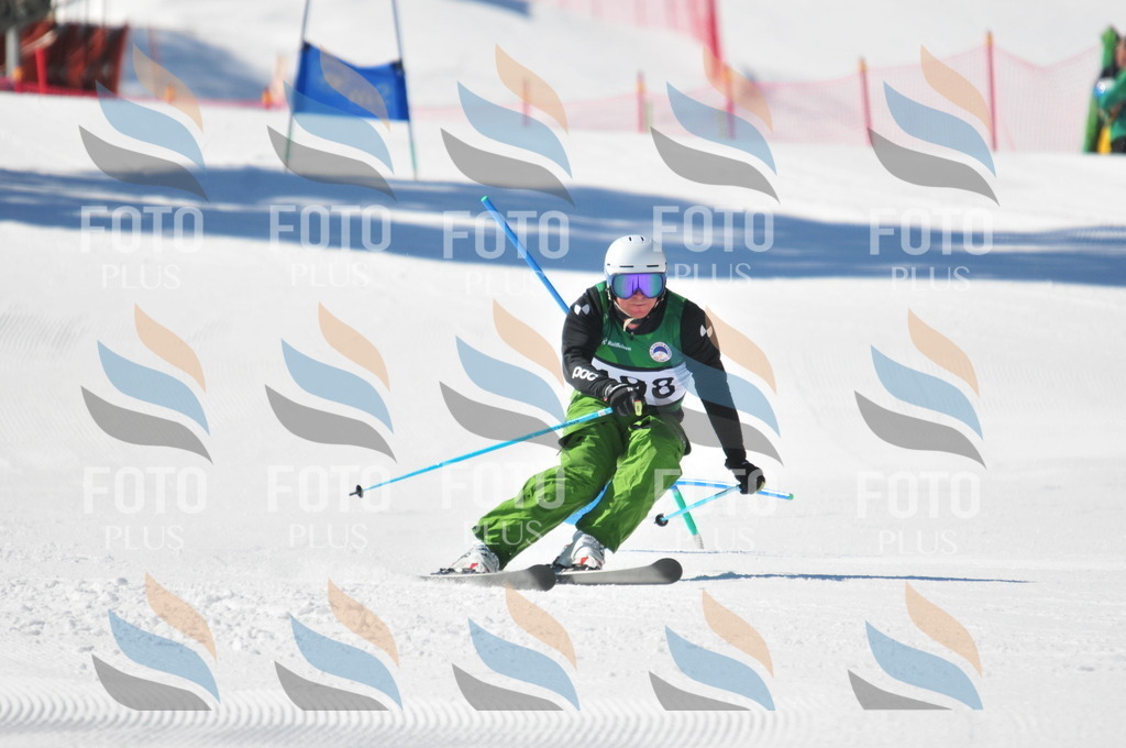 C4447 | holidayphoto