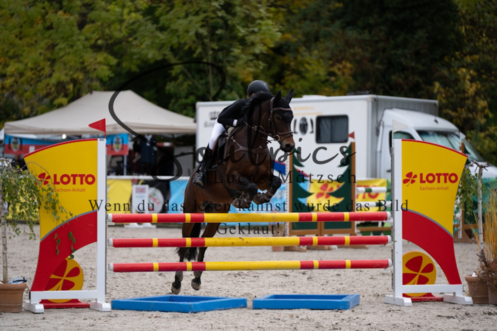 A7V00484 | Pferdefotograf