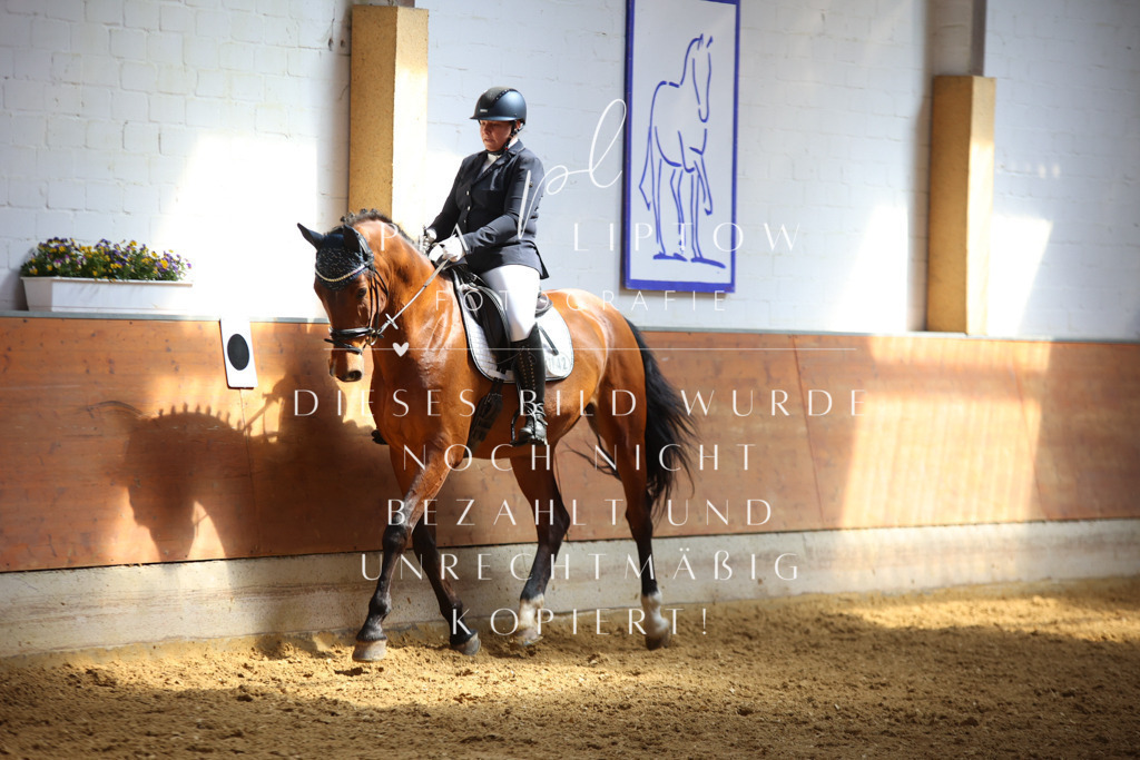 IMGT7788 | pl-fotografie