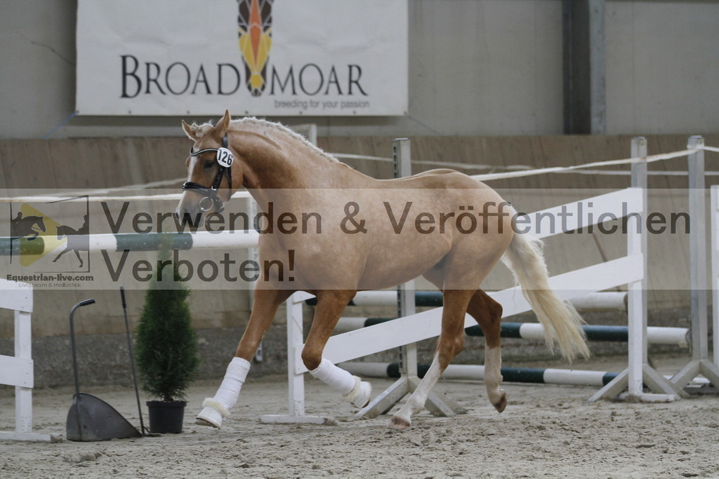 _MG_9766 | equestrian-live-com