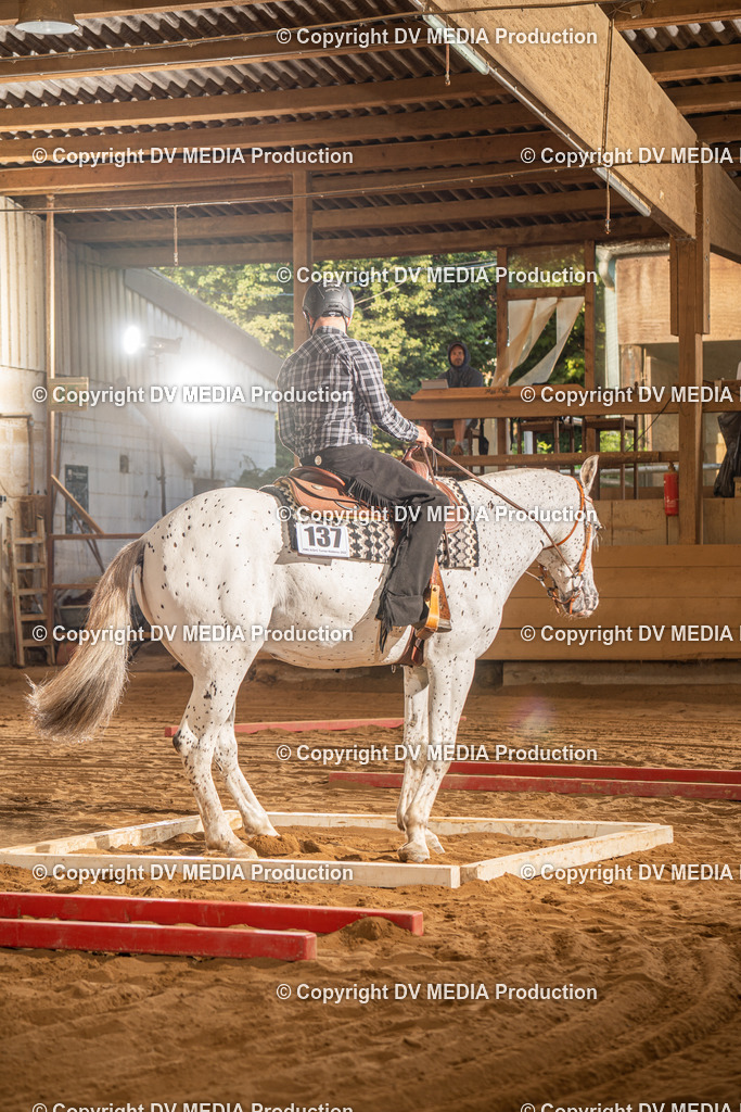 NID02481 | dv-media-shop - Realisiert mit Pictrs.com