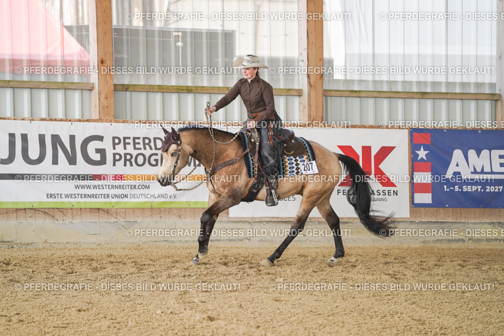 DSC00195 | Pferdegrafie