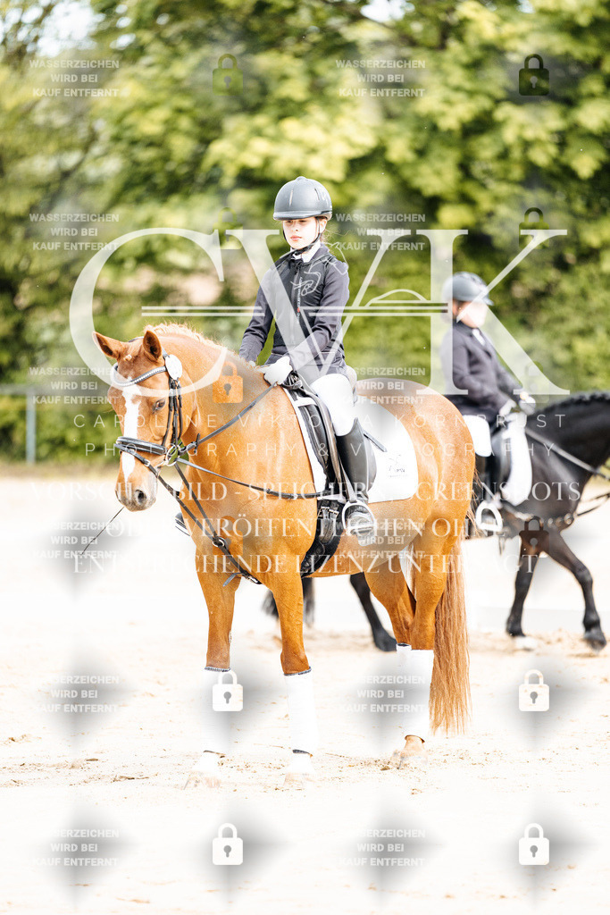 CK904407 | Turnierfotografie Pferdefotografie Trier Rheinland-Pfalz Pferdesport Reitsport Tierfotografie Sportfotografie Pferdevideo Pferdevideografie Equestrianvideography equestrianphotography  - Realisiert mit Pictrs.com
