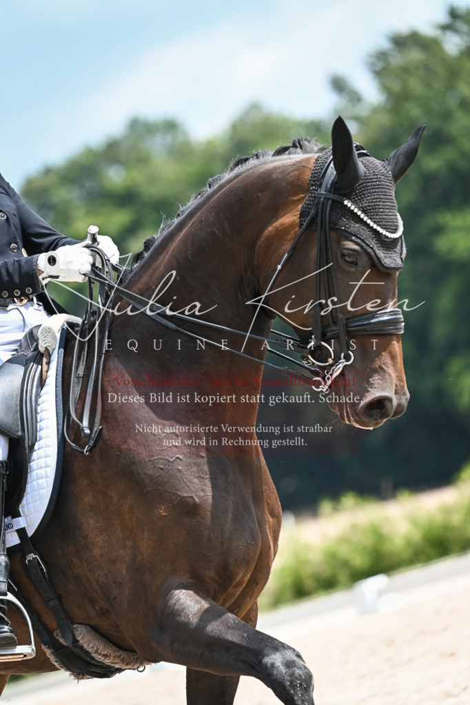 DSC_2589 | Pferde- und Turnierfotografie in Westsachsen. Pferdeportraits, Auftragszeichnungen und intuitive Kunst.