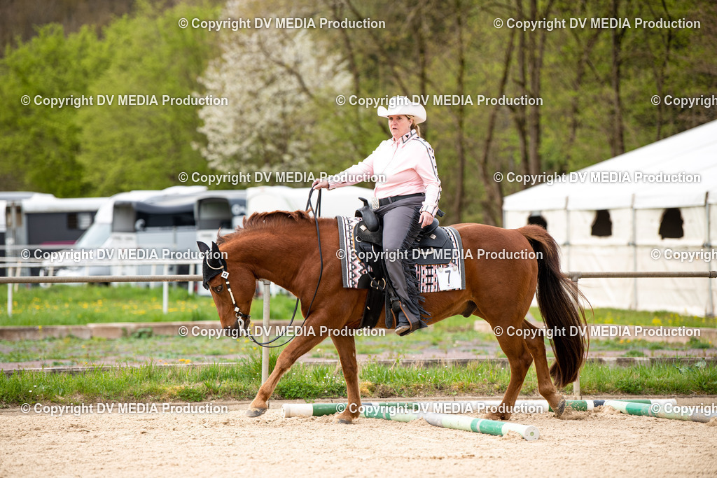 Heiligenwald Tag 1-233 | dv-media-shop - Realisiert mit Pictrs.com