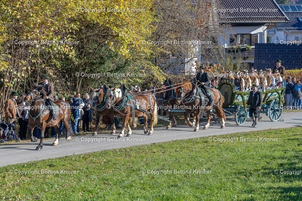 LBT25-171 | foto-bettina-krinner - Realisiert mit Pictrs.com