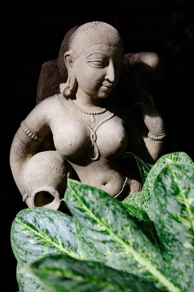 IMG_1279 | AHORN PHOTOGRAPHY - Realisiert mit Pictrs.com