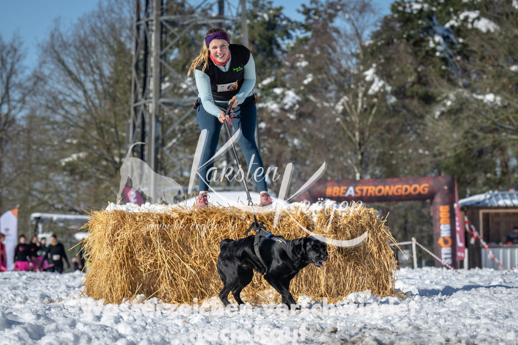 1101_ZZ94335-2 | kk-dogfotos